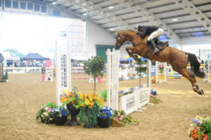 Winter Classic Premier Show Jumping Show