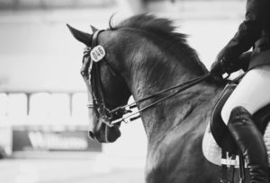 British Dressage (first day of Winter Qualifiers) @ Aintree International Equestrian Centre