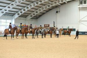 LIHS Qualifier Showing Show @ Aintree International Equestrian Centre | England | United Kingdom