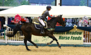 Aintree Unaffiliated Showjumping @ Aintree International Equestrian Centre | England | United Kingdom