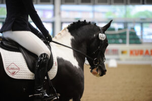 British Dressage 2 Day Show @ Aintree International Equestrian Centre | England | United Kingdom