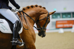 British Dressage 1 Day Show @ Aintree International Equestrian Centre | England | United Kingdom