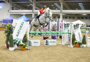 British Showjumping (Cat 2) @ Aintree International Equestrian Centre | England | United Kingdom