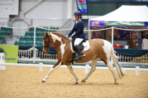 British Dressage 2 Day Show @ Aintree International Equestrian Centre | England | United Kingdom