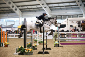 BS Large Pony Premier @ Aintree Equestrian Centre | England | United Kingdom