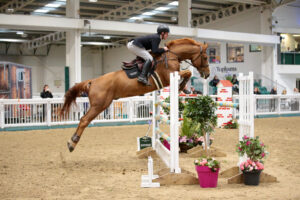 British Showjumping Cat 2 @ Aintree International Equestrian Centre | England | United Kingdom