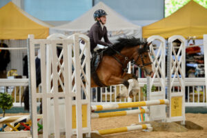 Susie Gibson Showjumping Clinic @ Aintree International Equestrian Centre | England | United Kingdom