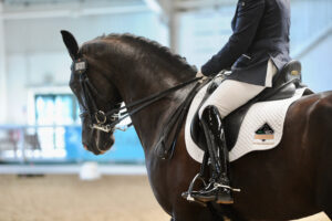 British Dressage 1 Day Show @ Aintree International Equestrian Centre | England | United Kingdom