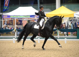 British Dressage 2 Day Show @ Aintree International Equestrian Centre | England | United Kingdom