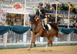 Young Horse Premier Show Jumping Show