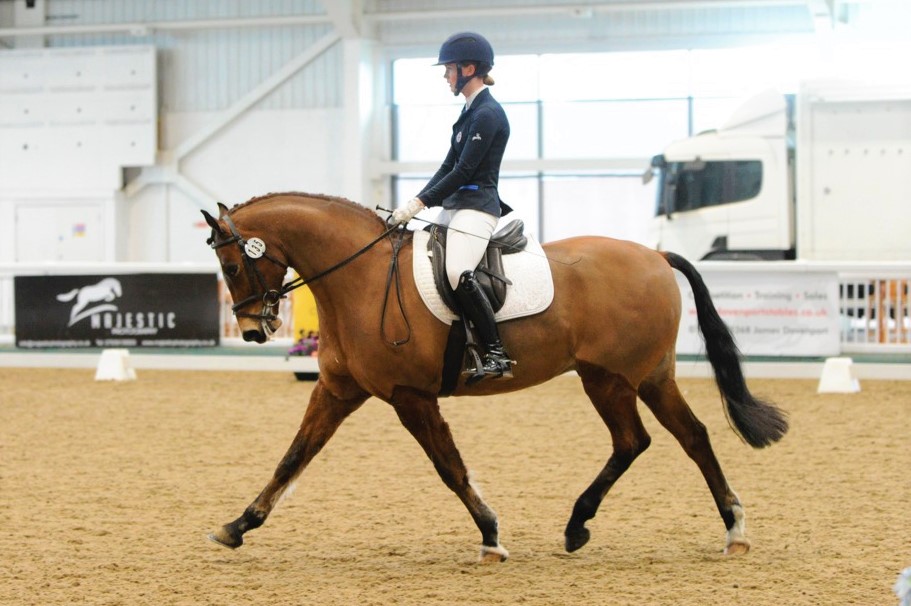 British Dressage Report Aintree International Equestrian Centre