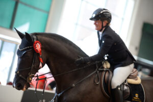 British Showjumping Cat 1 @ Aintree International Equestrian Centre | England | United Kingdom