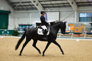 British Dressage 2 Day Show @ Aintree International Equestrian Centre | England | United Kingdom