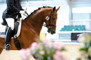British Dressage Two Day Show @ Aintree International Equestrian Centre