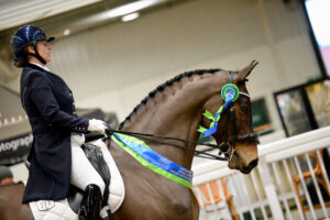 Petplan Equine Area Festival @ Aintree International Equestrian Centre | England | United Kingdom