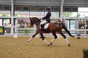 Dressage to Music Camp with Gaynor Colbourn @ Aintree International Equestrian Centre | England | United Kingdom