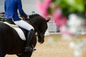 British Dressage (Area Festival Tests) @ Aintree International Equestrian Centre