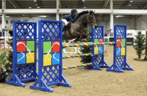 BS Pony Premier (148cm) inc clear round evening CANCELLED