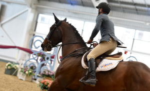 British Showjumping Cat 2 ENTRIES SUSPENDED @ Aintree International Equestrian Centre | England | United Kingdom