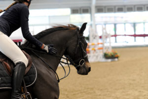 British Showjumping Cat 2 - CANCELLED @ Aintree International Equestrian Centre | England | United Kingdom