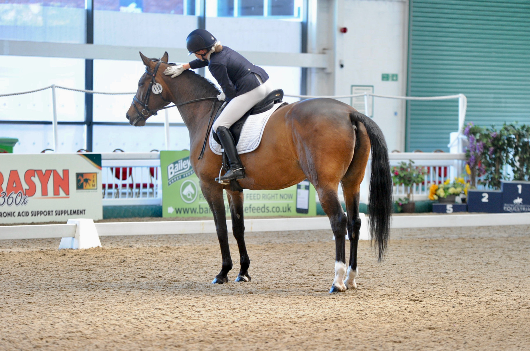 Aintree International Equestrian Centre
